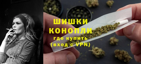 стафф Гусев