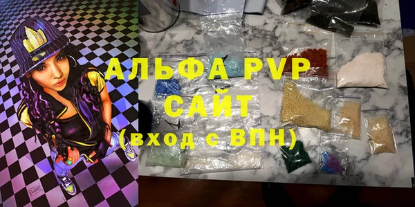 стафф Гусев