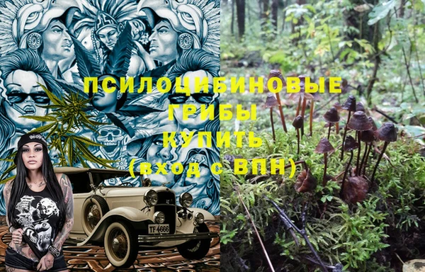 бутират Гусиноозёрск