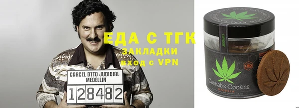 стафф Гусев