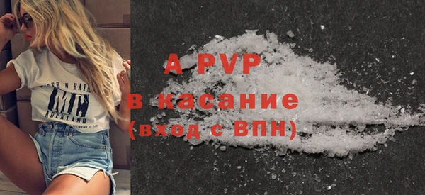 стафф Гусев