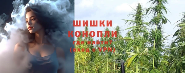 стафф Гусев