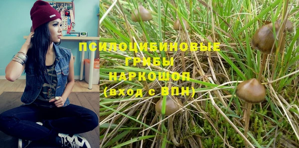 круглые Гусь-Хрустальный