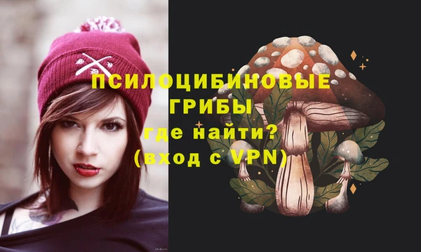 стафф Гусев