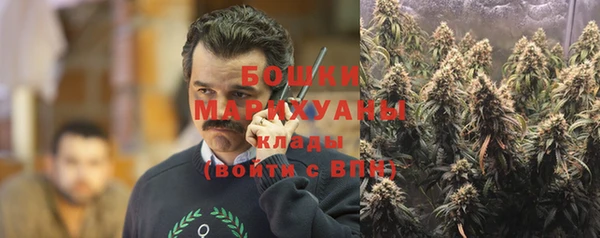 стафф Гусев