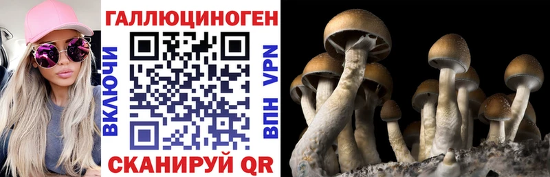Галлюциногенные грибы Psilocybe  Купить  Сорск 